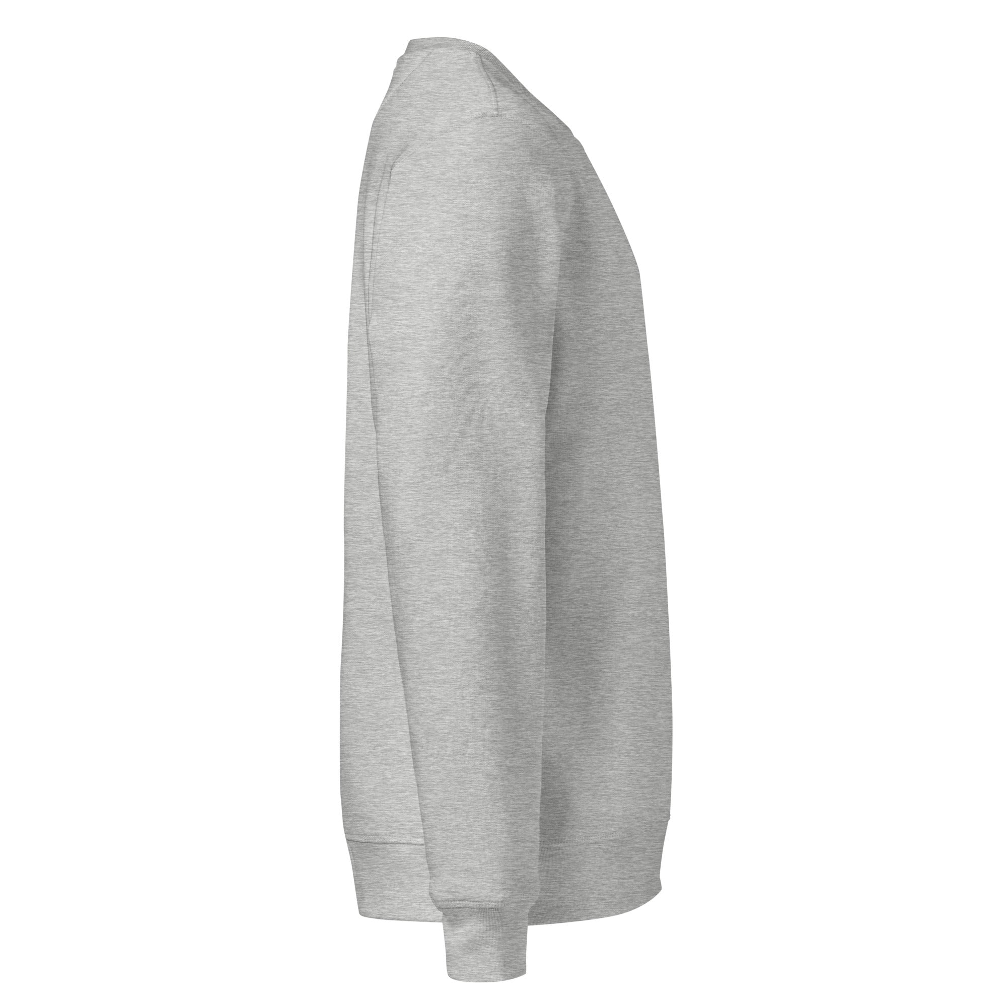 Sweat en coton biologique brodé du monogramme RS — Maison Sahari