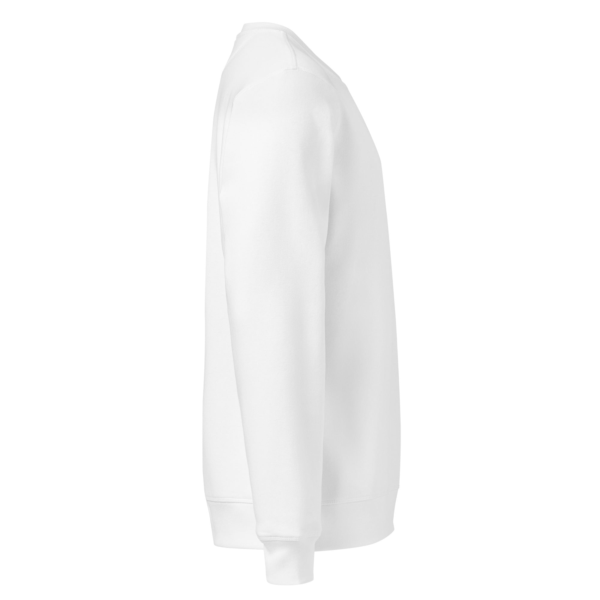 Sweat en coton biologique brodé du monogramme RS — Maison Sahari
